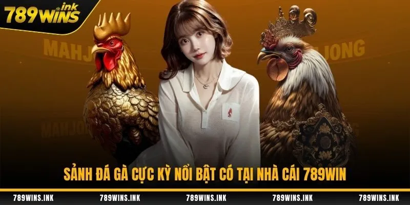 Sảnh đá gà cực kỳ nổi bật có tại nhà cái 789Win